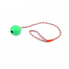 Beeztees Игрушка мяч резиновый с колокольчиком и шнурком цвет мята 60см 625956