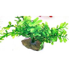 Пластиковое аквариумное растение, 10 см. (арт. TYZA30)