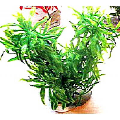 Пластиковое растение для аквариума, 20 см. (арт. TYZB68)