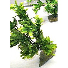 Пластиковое растение для аквариума, 30 см. (арт. TYZC28)