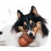 Mr.Kranch Игрушка для собак, Орех с пищалкой, 8,5*10 см, с ароматом сливок (арт. MKR000191)