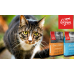 Orijen Cat & Kitten 85/15 - корм для кошек и котят всех пород, со свежим цыпленком, индейкой, цельной сельдью и хеком