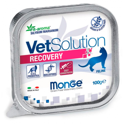 Monge VetSolution Cat Recovery - лечебный влажный корм для кошек после травм и операций, 100 г