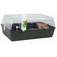 SAVIC Домик-контейнер для грызунов Rody Cavia, 70x45х31см, пластик (арт. 01650048)