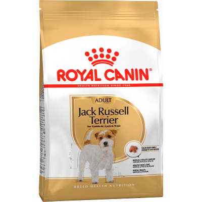 Royal Canin Jack Russell Adult - сухой корм для взрослых джек-рассел-терьеров.