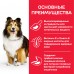 Hill's Science Plan Sensitive Stomach & Skin - сухой корм для взрослых собак средних пород с чувствительной кожей и/или пищеварением, с курицей 