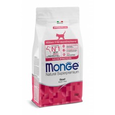 Monge Cat Monoprotein Kitten Beef - сухой монопротеиновый корм для котят и беременных кошек, с говядиной