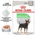 Royal Canin Digestive Care Canine Pouche - паштет для собак с чувствительным пищеварением (85 гр.)