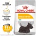 Royal Canin Mini Dermacomfort - для взрослых собак мелких размеров с чувствительной кожей