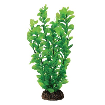 Triol Растение "Людвигия" зеленая, 100 мм., пакет (арт. ТР 74044023)