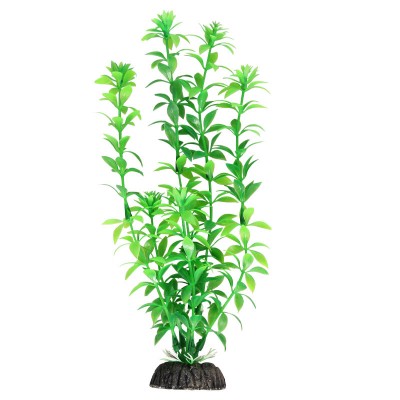 Triol Растение "Гемиантус" зеленый, 300 мм. (арт. ТР 74044081)