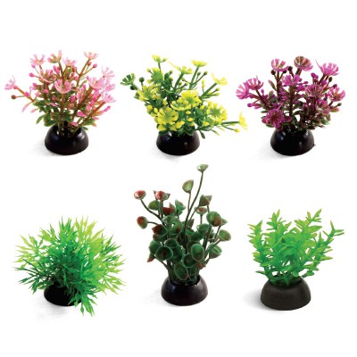 Triol Растения разноцветные (набор 6 шт), 50 мм. (арт. ТР 74044162)