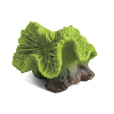 Triol Коралл искусственный "Каталофиллия" зеленая, 8*7*7 см (арт. ТР 74004107)