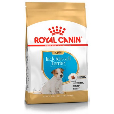 Royal Canin Jack Russell Junior- сухой корм для щенков джек-рассел-терьеров.