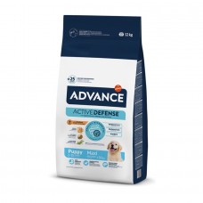 Advance Maxi Puppy - сухой корм для щенков крупных пород, курица и рис