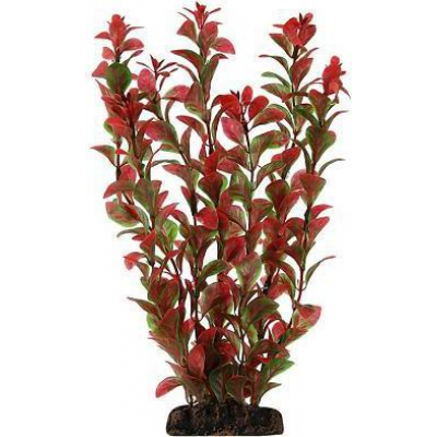 Triol Растение 1967 "Людвигия" красная, 200 мм, пакет (арт. ТР 74044031)