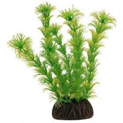 Triol Растение 1367LD "Амбулия" жёлто-зелёная, 100 мм, пакет (арт. ТР 74044018)