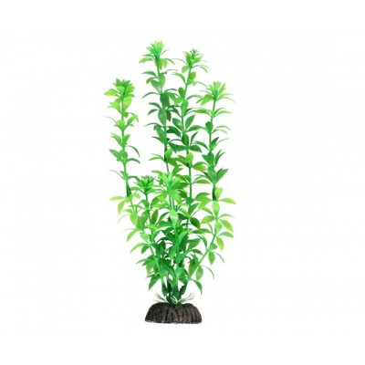 Triol Растение 1065LD "Амбулия" зелёная, 300 мм, пакет (арт. ТР 74044086)