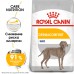 Royal Canin Maxi Dermacomfort - сухой корм для взрослых собак крупных пород с чувствительной кожей.
