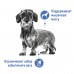 Royal Canin Mini Light Weight Сare - полнорационный сухой корм для собак мелких пород, склонных к полноте, для снижения и контроля веса