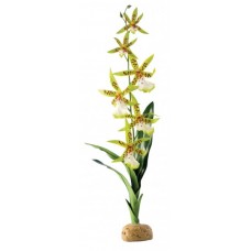 Hagen Орхидея 29 x 9 x 5 cм (арт. ХЭП PT2991)