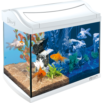 Аквариумный комплект для золотых рыбок, 20 л (несколько вариантов), Tetra AquaArt LED Goldfish