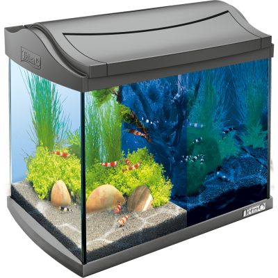 Аквариумный комплект, 20 л., несвколько вариантов, Tetra AquaArt LED Set "Shrimp"