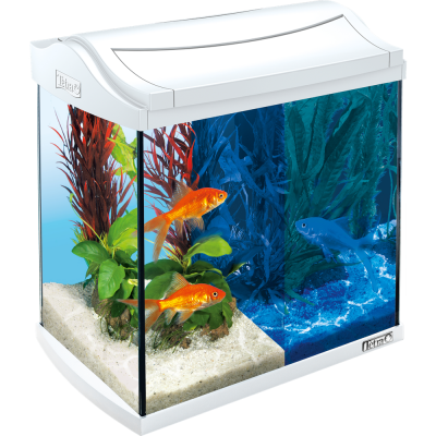 Аквариумный комплект для золотых рыбок, 30 л (несколько вариантов), Tetra AquaArt LED Goldfish