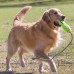 KONG Toy AirDog Squeaker Fetch Stick - игрушка для собак с веревкой (арт. 42507)